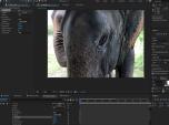 Twixtor After Effects Screencasts